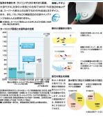 LIXIL(INAX)  無水小便器 壁掛式小便器(壁排水) [U-80P]